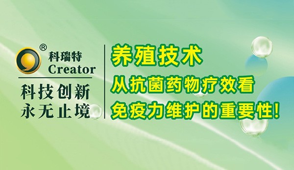 養(yǎng)殖技術(shù)｜從抗菌藥物療效看免疫力維護(hù)的重要性！
